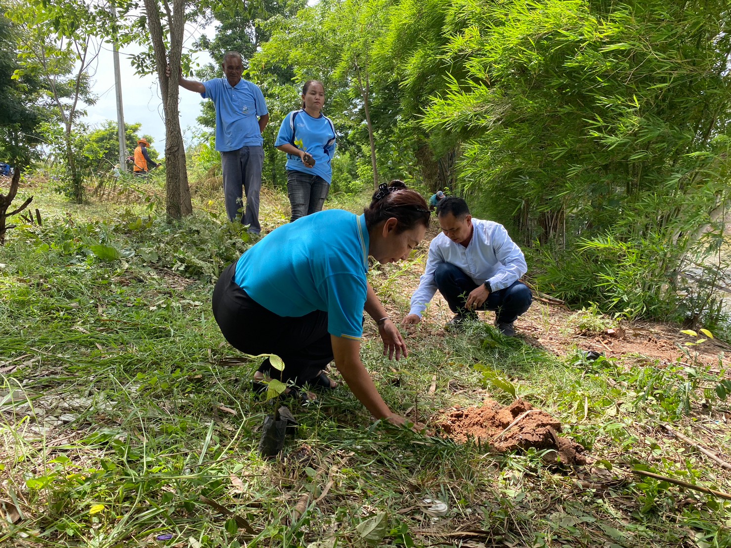 LINE ALBUM ปลูกป่าวันแม่ 66 ๒๓๐๘๑๕ 1