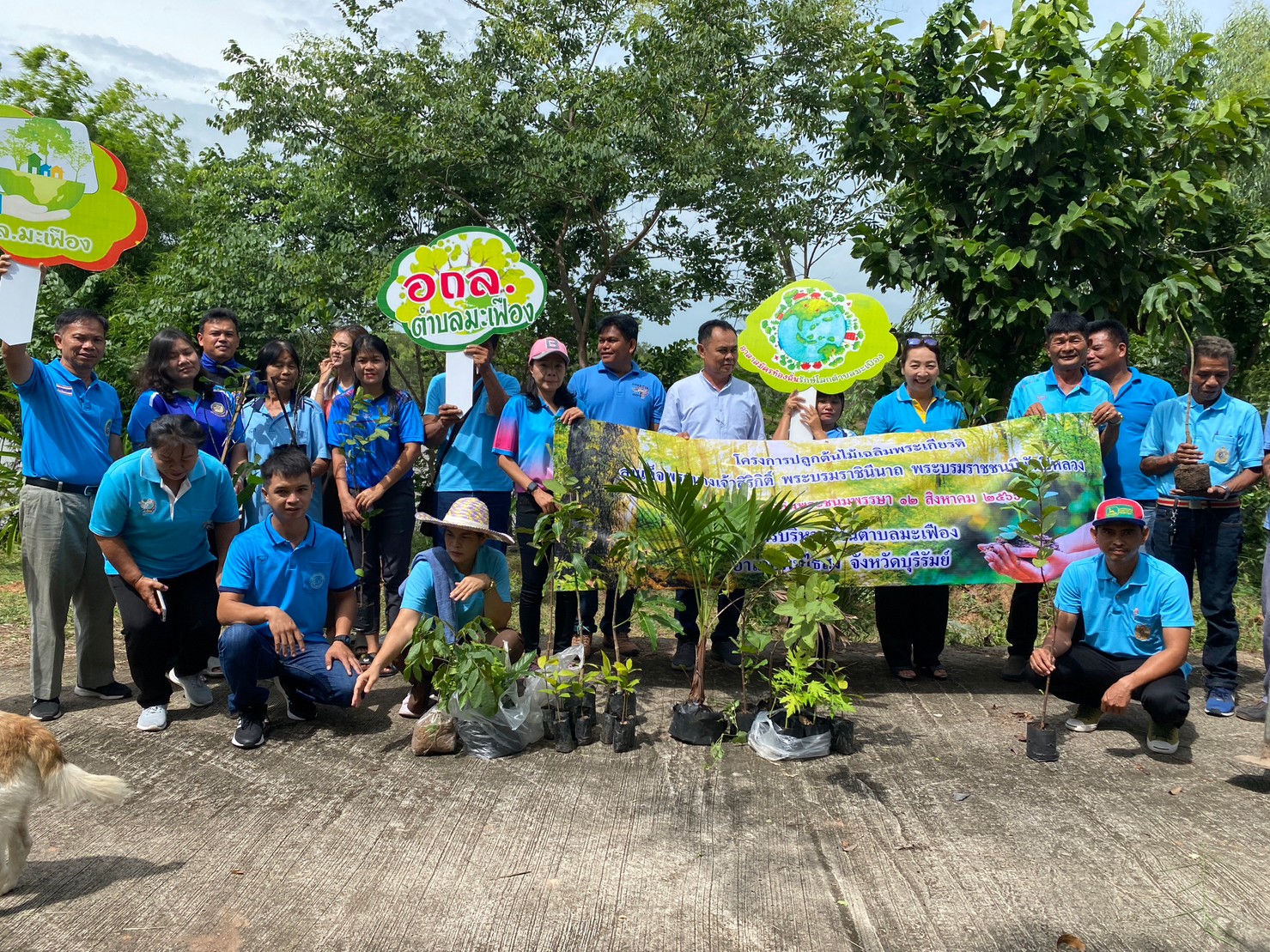LINE ALBUM ปลูกป่าวันแม่ 66 ๒๓๐๘๑๕ 23
