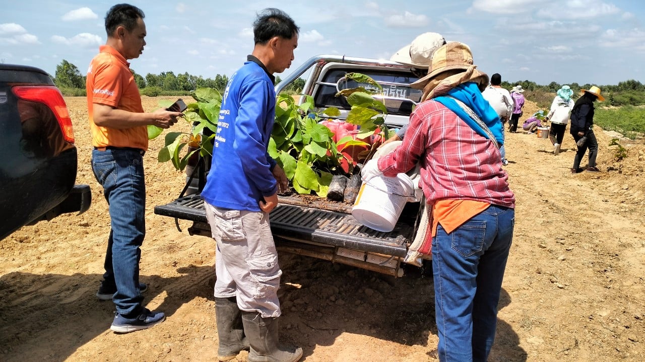 d60d8393 dc6c 4241 a40a 5732e5ced08f