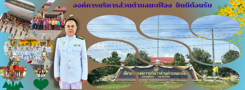 หน้าปกเวป